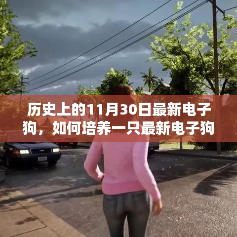 歷史上的11月30日，最新電子狗的培養(yǎng)指南與詳細(xì)指南解析