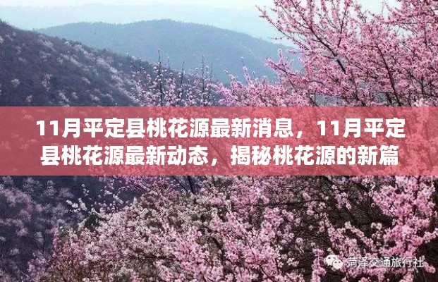 揭秘，11月平定縣桃花源最新動態(tài)與進展新篇章