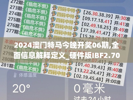 2024澳門(mén)特馬今晚開(kāi)獎(jiǎng)06期,全面信息解釋定義_硬件版IBF2.704
