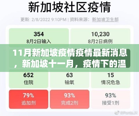 新加坡十一月疫情下的溫馨日常與友情力量，最新疫情消息