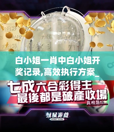 白小姐一肖中白小姐開獎記錄,高效執(zhí)行方案_社區(qū)版IIR90.520