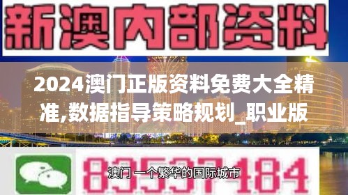 2024澳門正版資料免費大全精準,數(shù)據(jù)指導策略規(guī)劃_職業(yè)版RQC48.767