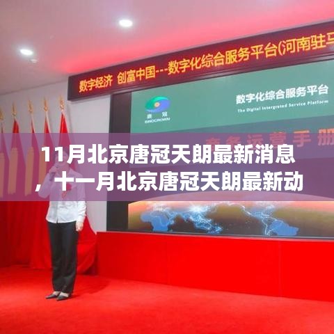 北京唐冠天朗項(xiàng)目最新進(jìn)展揭秘，十一月動(dòng)態(tài)與未來展望