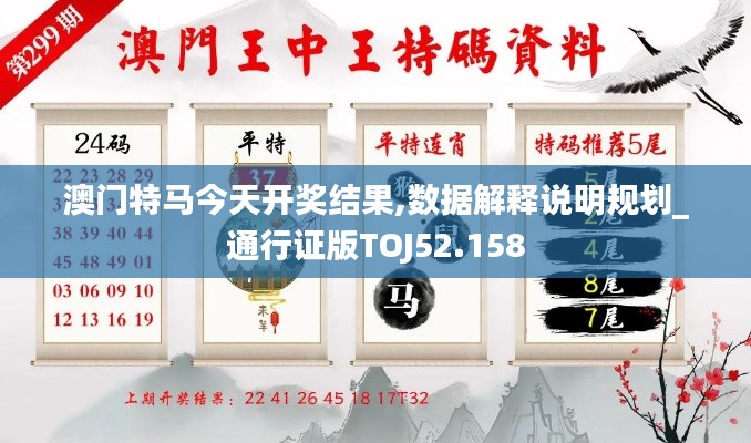 澳門(mén)特馬今天開(kāi)獎(jiǎng)結(jié)果,數(shù)據(jù)解釋說(shuō)明規(guī)劃_通行證版TOJ52.158