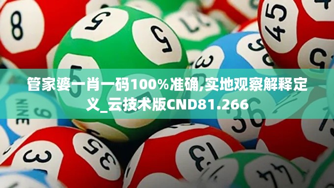 管家婆一肖一碼100%準確,實地觀察解釋定義_云技術(shù)版CND81.266