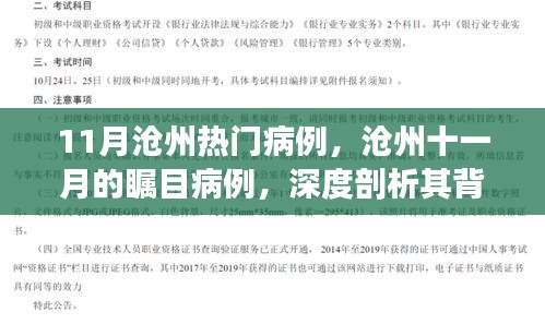 滄州十一月矚目病例深度解析，背景、進(jìn)展與影響探究