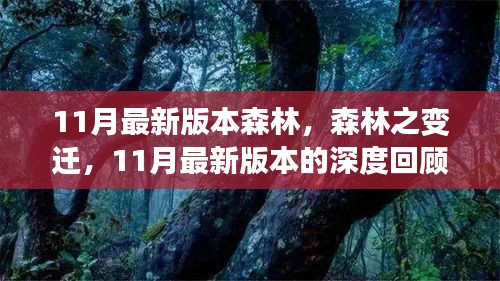 11月最新版本森林的變遷，深度回顧與影響