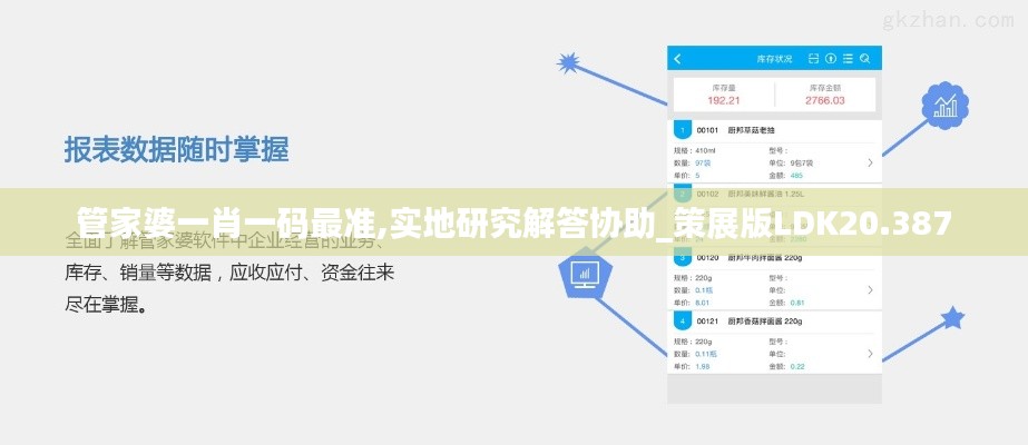 管家婆一肖一碼最準,實地研究解答協(xié)助_策展版LDK20.387