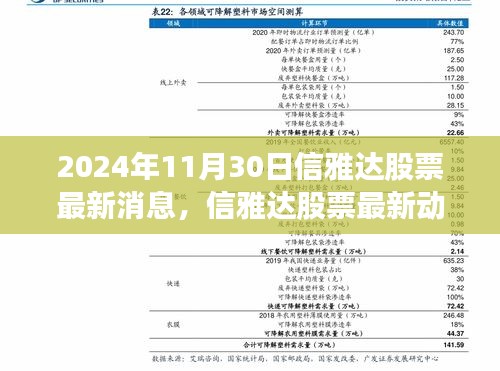 信雅達(dá)股票最新動(dòng)態(tài)，與自然美景的邂逅，啟程尋找寧?kù)o之舟之旅（2024年11月30日）