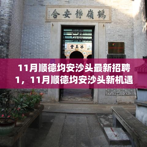 11月順德均安沙頭最新招聘啟航，職場新征程，學(xué)習(xí)變革與自信成長的機會
