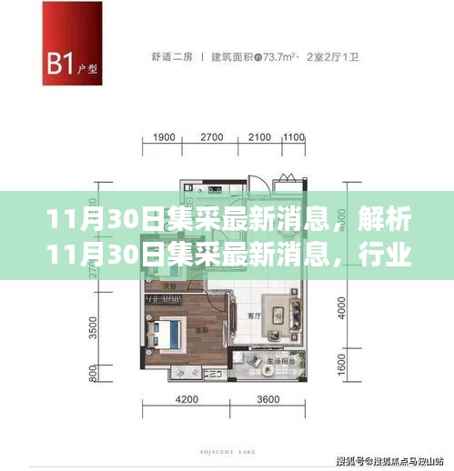 解析，從行業(yè)變革與個人立場看，11月30日集采的最新消息動態(tài)