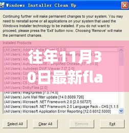最新Flash Player下載體驗(yàn)，功能升級(jí)，引領(lǐng)生活新潮流！