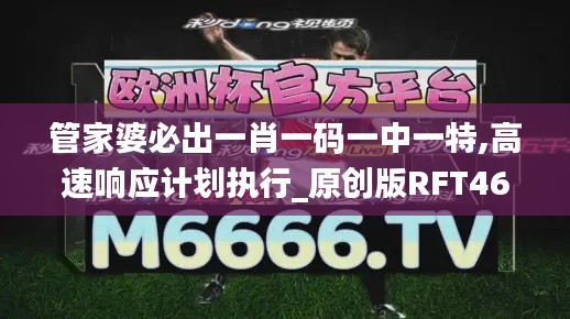 管家婆必出一肖一碼一中一特,高速響應(yīng)計(jì)劃執(zhí)行_原創(chuàng)版RFT46.562