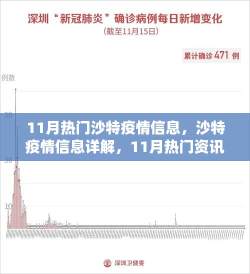 沙特疫情11月詳解，從入門(mén)到進(jìn)階的全方位指南