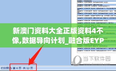 新澳門資料大全正版資料4不像,數(shù)據(jù)導向計劃_融合版EYP13.687