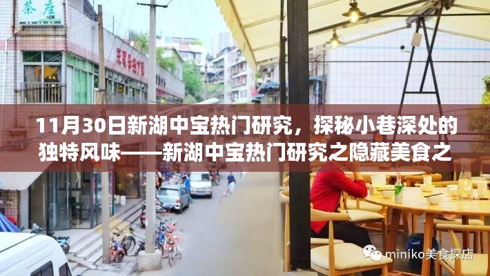 探秘新湖中寶隱藏美食，小巷深處的獨(dú)特風(fēng)味之旅