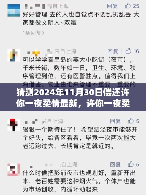 許你一夜柔情，深度評測、特性體驗、競品對比及用戶群體分析
