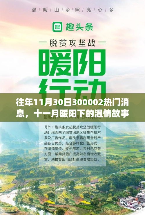 十一月暖陽(yáng)下的溫情故事，揭秘300002熱門(mén)消息的溫馨日常揭秘