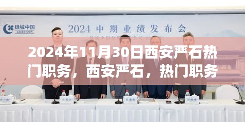 揭秘西安嚴(yán)石熱門職務(wù)背后的故事與影響，2024年回顧