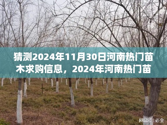 2024年河南熱門苗木求購信息預(yù)測，多方視角解讀與觀點碰撞，未來趨勢展望