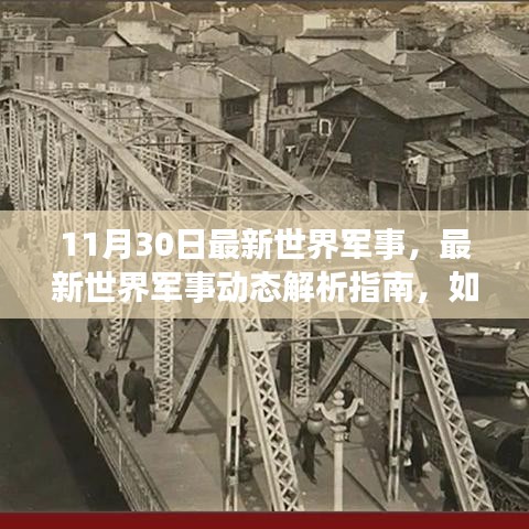 11月30日世界軍事最新動態(tài)解析，深入了解當(dāng)日軍事形勢指南