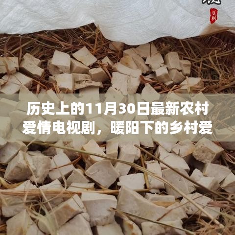 暖陽下的鄉(xiāng)村愛情，十一月三十日的甜蜜日常