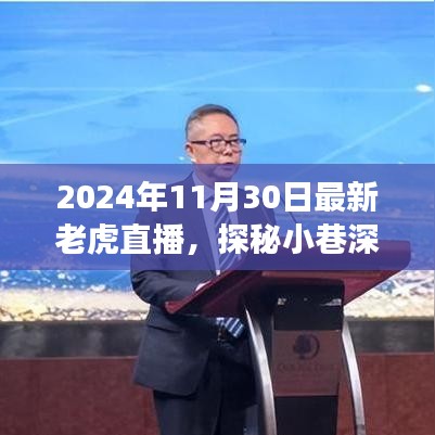 探秘小巷深處的獨(dú)特直播間，揭秘隱藏版特色小店，老虎直播獨(dú)家呈現(xiàn)