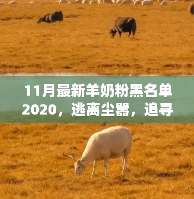 羊奶粉黑名單揭秘，追尋心靈寧?kù)o之旅的別樣風(fēng)情