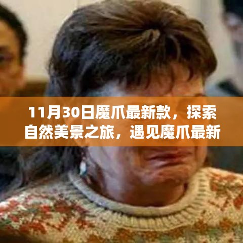 魔爪最新款探索之旅，自然美景的心靈寧靜之旅