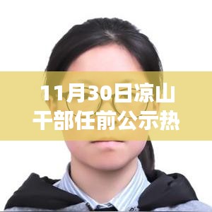 涼山干部任前公示操作指南，從零起步到公示完成全解析