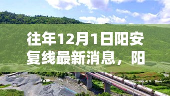 陽安復(fù)線最新動(dòng)態(tài)，陽光下的重逢與溫馨日常