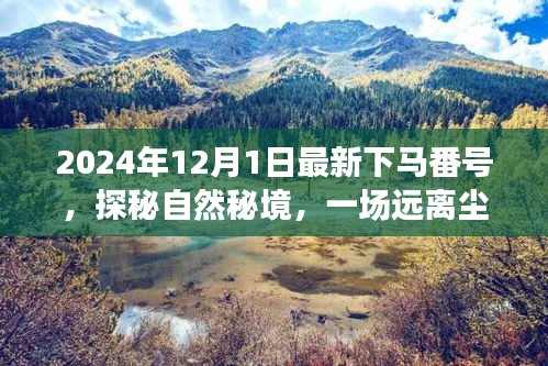 探秘自然秘境，啟程于2024年心靈之旅的冒險號角