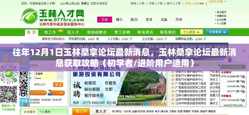 往年12月1日玉林桑拿論壇最新消息全解析，獲取攻略初學(xué)者與進(jìn)階用戶必讀