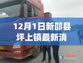 新邵縣坪上鎮(zhèn)最新動(dòng)態(tài)報(bào)道，深度解析十二月一日最新消息
