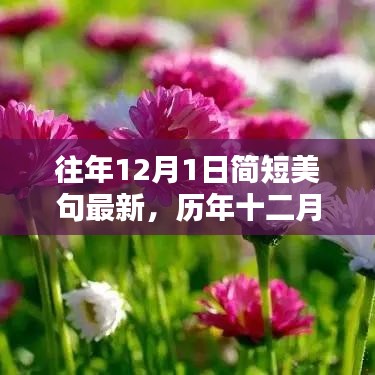 歷年十二月一日美妙瞬間盤(pán)點(diǎn)，簡(jiǎn)短美句集錦