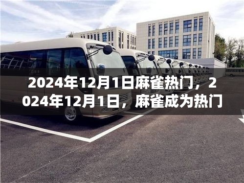揭秘麻雀魅力背后的原因，為何它在2024年12月1日成為熱門焦點？