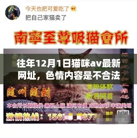 遠(yuǎn)離非法色情內(nèi)容，關(guān)注貓咪健康與日常護(hù)理的建議和指導(dǎo)