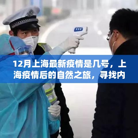 上海疫情后的自然之旅，尋找內(nèi)心的寧靜與力量之旅（最新疫情動態(tài)）