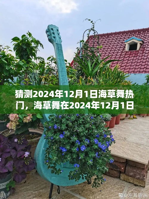 2024年12月1日海草舞流行趨勢預(yù)測，熱門舞蹈風(fēng)潮再起
