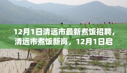 清遠市最新煮飯招聘啟航，烹飪?nèi)松晒Φ拿卦E探尋之路