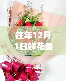 往年12月1日鮮花最新包裝圖片探析，視覺盛宴的背后利與弊