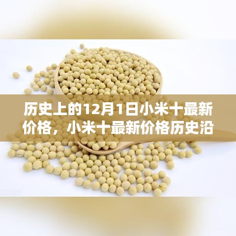 小米十最新價格深度解析，歷史沿革、目標(biāo)用戶群體分析與深度評測報告