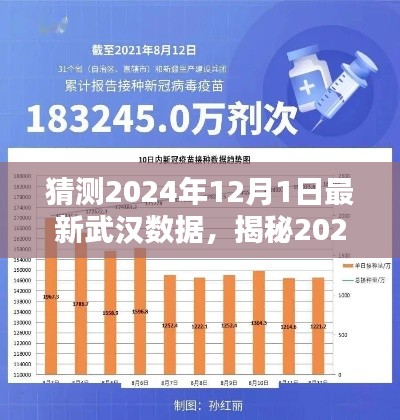 揭秘武漢未來，深度分析與預(yù)測，預(yù)測武漢最新數(shù)據(jù)至2024年12月1日揭曉！