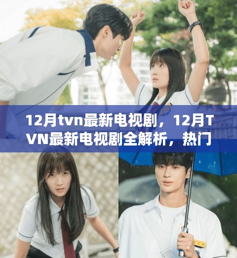 12月TVN新劇全解析，熱門新劇一網(wǎng)打盡