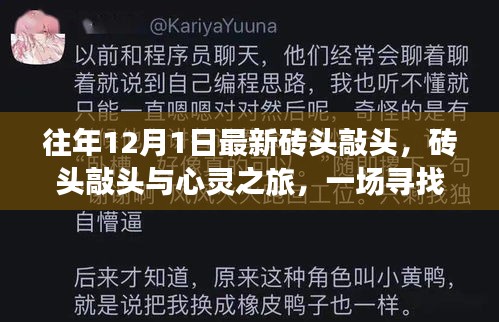 尋找內(nèi)心平靜的奇妙冒險(xiǎn)，磚頭敲頭與心靈之旅