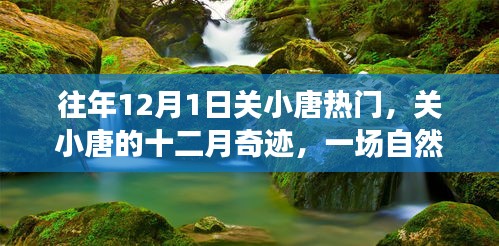 關(guān)小唐的十二月奇跡，自然美景治愈之旅，熱門話題揭秘