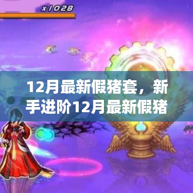 新手進階指南，12月最新假豬套制作全攻略