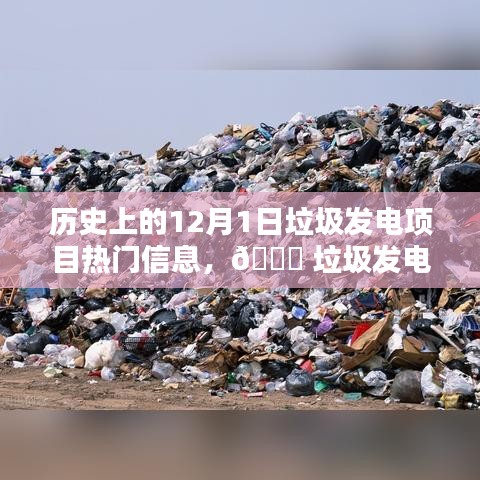 揭秘垃圾發(fā)電項(xiàng)目的科技魅力與最新體驗(yàn)，歷史上的12月1日垃圾發(fā)電項(xiàng)目熱門信息回顧與前沿展望