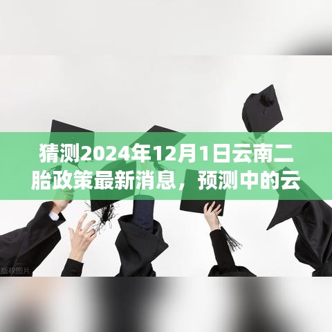 解讀未來趨勢，預測云南二胎政策新動向及最新消息（預計于2024年12月1日實施）