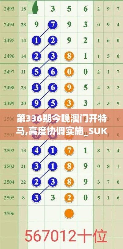 第336期今晚澳門開特馬,高度協(xié)調(diào)實施_SUK99.105用心版
